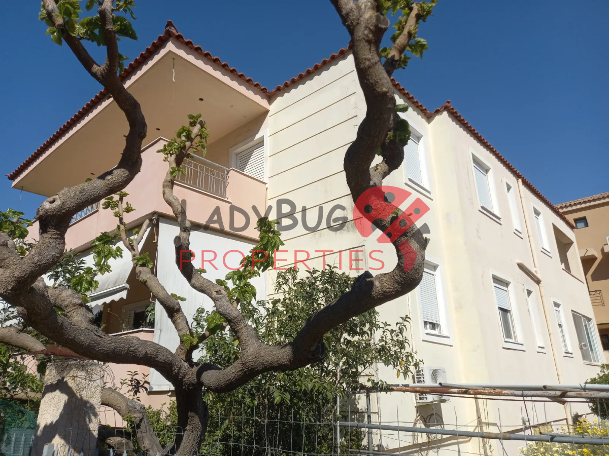 property-img