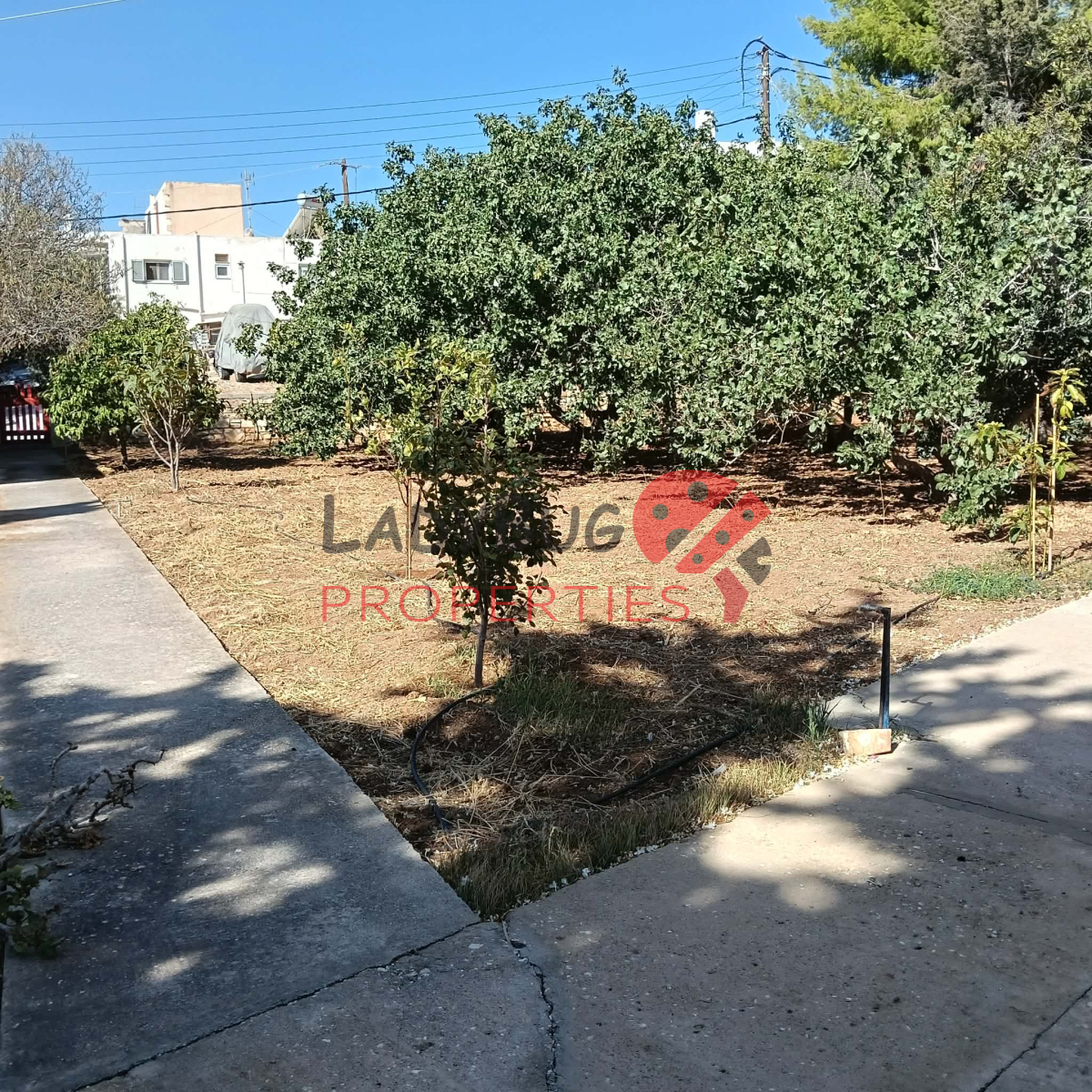 property-img